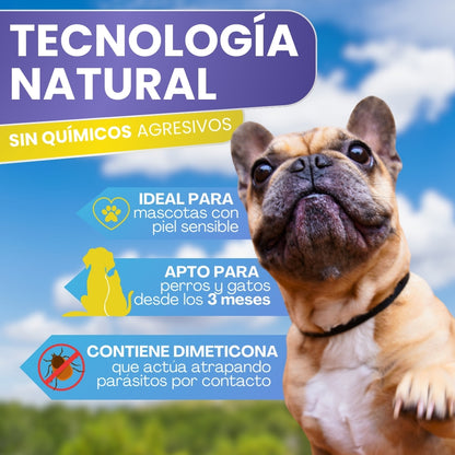 Collar Antiparasitario para Perros y Gatos 60 cm | Protección Natural hasta 8 Meses