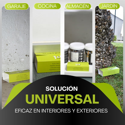 Trampas Adhesivas para Ratones y Ratas | Pegamento Extra Fuerte con Atrayente de Avellana