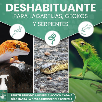 Spray Repelente para Lagartijas, Geckos y Serpientes 750 ml | Deshabituante Natural de Larga Duración | Uso Doméstico y Exterior