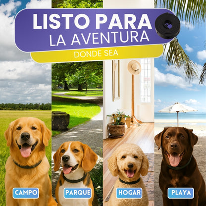 Collar Antiparasitario para Perros y Gatos 60 cm | Protección Natural hasta 8 Meses