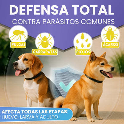 Collar Antiparasitario para Perros y Gatos 60 cm | Protección Natural hasta 8 Meses