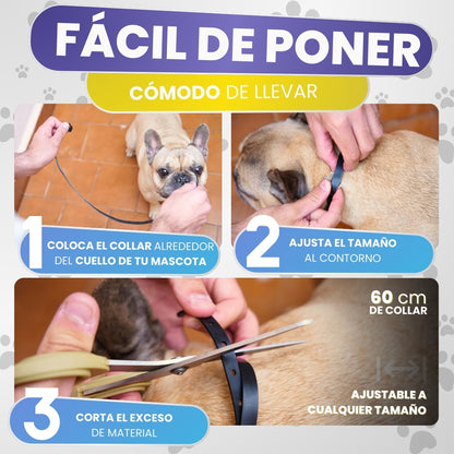 Collar Antiparasitario para Perros y Gatos 60 cm | Protección Natural hasta 8 Meses