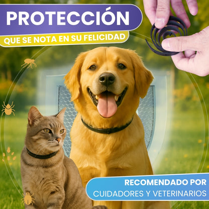 Collar Antiparasitario para Perros y Gatos 60 cm | Protección Natural hasta 8 Meses