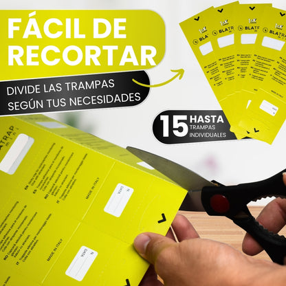 BlaTrapMini Trampas Adhesivas para Cucarachas Extra Fuertes | Atrayente Alimentario Sin Veneno ni Biocidas