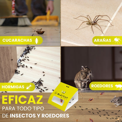 BlaTrapMini Trampas Adhesivas para Cucarachas Extra Fuertes | Atrayente Alimentario Sin Veneno ni Biocidas