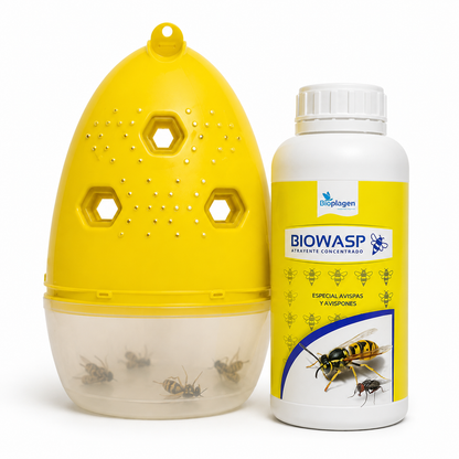 Pack Trampa para Avispas + Atrayente BIOWASP | Captura Avispas y Avispones para Jardín, Terraza y Piscina