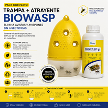 Pack Trampa para Avispas + Atrayente BIOWASP | Captura Avispas y Avispones para Jardín, Terraza y Piscina
