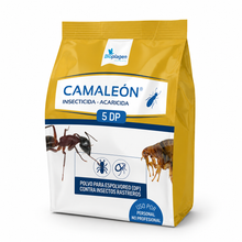 Camaleón 5 DP | Insecticida Acaricida en Polvo para Hormigas, Pulgas, Garrapatas y Ácaros